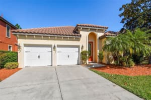 8232 DUNHAM STATION DRIVE, TAMPA, FL 33647 Sold 03/07/24