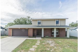 6610 REEF CIRCLE, TAMPA, FL 33625 Sold 11/16/23