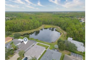 19207 MEADOW PINE DRIVE, TAMPA, FL 33647 Sold 11/20/23