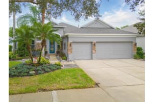 19207 MEADOW PINE DRIVE, TAMPA, FL 33647 Sold 11/20/23