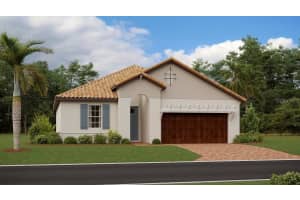 17211 Sparrow Case St, WIMAUMA