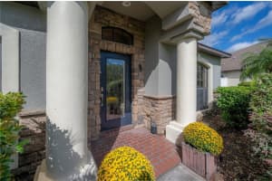 10851 RAIN LILLY PASS, LAND O LAKES, FL 34638 Sold 11/30/23