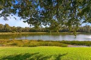 19131 WHITE WING PLACE, TAMPA, FL 33647 Sold 12/26/23