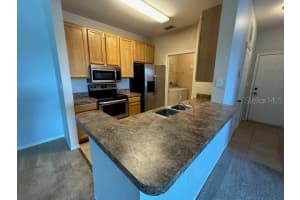 10203 COURTNEY PALMS BOULEVARD, TAMPA, FL 33619 Sold 04/03/24