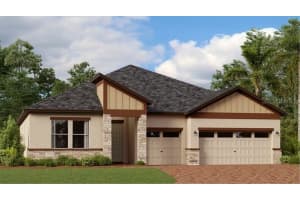 21673 Snowy Orchid Ter, LAND O LAKES