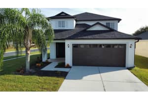 31234 MASENA DRIVE, WESLEY CHAPEL, FL 33545 Sold 08/26/24