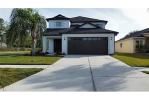 31234 MASENA DRIVE, WESLEY CHAPEL, FL 33545 Sold 08/26/24