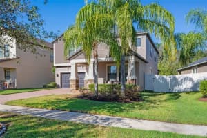 19336 PADDOCK VIEW DRIVE, TAMPA, FL 33647 Sold 11/29/23