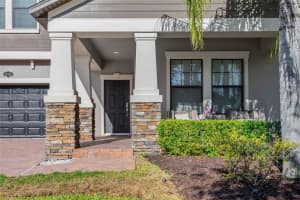 19336 PADDOCK VIEW DRIVE, TAMPA, FL 33647 Sold 11/29/23