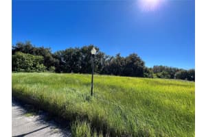 913 GRAND LAKE BOULEVARD, AVON PARK, FL 33825 Sold 01/07/25
