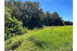 913 GRAND LAKE BOULEVARD, AVON PARK, FL 33825 Sold 01/07/25