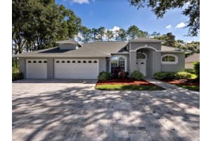 17110 DOWNS DRIVE, ODESSA, FL 33556 Sold 12/15/23