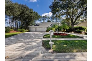 17110 DOWNS DRIVE, ODESSA, FL 33556 Sold 12/15/23