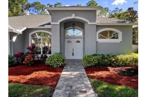 17110 DOWNS DRIVE, ODESSA, FL 33556 Sold 12/15/23