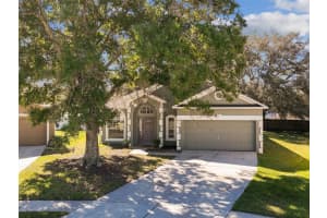 3127 EVANSDALE COURT, LAND O LAKES, FL 34639 Sold 01/11/24