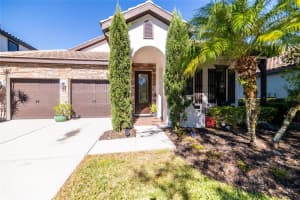 20348 CHESTNUT GROVE DRIVE, TAMPA, FL 33647 Sold 01/04/24