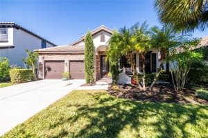 20348 CHESTNUT GROVE DRIVE, TAMPA, FL 33647 Sold 01/04/24