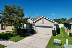 7973 CAMDEN WOODS DRIVE, TAMPA, FL 33619 Sold 12/13/23