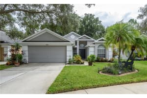 9720 FREDERICKSBURG ROAD, TAMPA, FL 33635 Sold 11/17/23