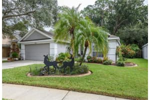 9720 FREDERICKSBURG ROAD, TAMPA, FL 33635 Sold 11/17/23