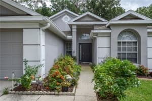9720 FREDERICKSBURG ROAD, TAMPA, FL 33635 Sold 11/17/23