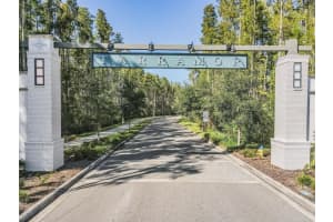 19926 CYPRESS BRIDGE DRIVE, ODESSA, FL 33556 Sold 02/12/24