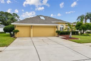 4207 WHITTNER DRIVE, LAND O LAKES, FL 34639 Sold 12/06/23