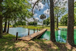 6225, 6229 DEEN STILL ROAD, LAKELAND, FL 33809 - MLS#MFRT3481122