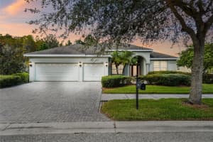 20216 REGAL FERN COURT, TAMPA, FL 33647 Sold 04/11/24