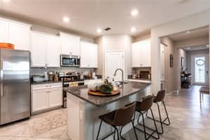 11415 FRESHWATER RIDGE DRIVE, RIVERVIEW, FL 33579 Sold 01/12/24