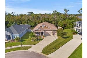 3171 MARISA PLACE, HOLIDAY, FL 34691 Sold 11/30/23