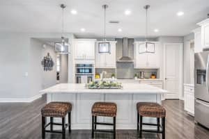 31494 DRISCOLL DRIVE, WESLEY CHAPEL, FL 33543 Sold 01/08/24