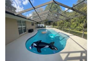 18544 OTTERWOOD AVENUE, TAMPA, FL 33647 Sold 03/27/24