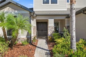 13921 SHADOW TREE LANE, TAMPA, FL 33618 Sold 12/07/23