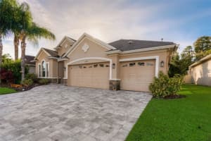 3325 DIAMOND FALLS CIRCLE, LAND O LAKES, FL 34638 Sold 01/30/24