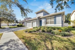 20026 BLUFF OAK BOULEVARD, TAMPA, FL 33647 Sold 03/19/24