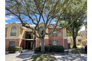 8723 FANCY FINCH DRIVE, TAMPA, FL 33614 Sold 11/14/23