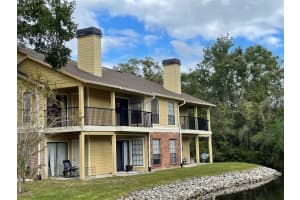 8723 FANCY FINCH DRIVE, TAMPA, FL 33614 Sold 11/14/23