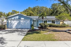 5310 BLACK PINE DRIVE, TAMPA, FL 33624 Sold 12/04/23