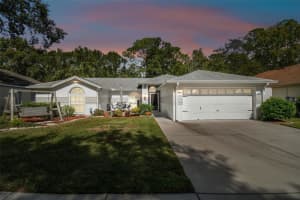 24219 PAINTER DRIVE, LAND O LAKES, FL 34639 Sold 02/01/24