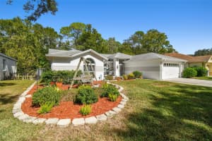 24219 PAINTER DRIVE, LAND O LAKES, FL 34639 Sold 02/01/24
