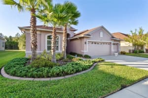 27186 SORA BOULEVARD, WESLEY CHAPEL, FL 33544 Sold 02/15/24