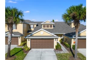 20230 POND APPLE LANE, TAMPA, FL 33647 Sold 03/06/24