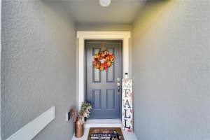 1902 LEAPING WILDCAT PLACE, RUSKIN, FL 33570 Sold 01/09/24