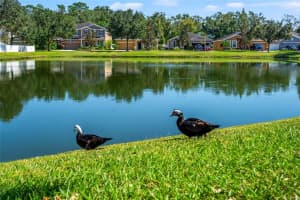 12209 SWAYING MOSS CIRCLE, RIVERVIEW, FL 33569 Sold 03/14/24