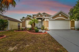 4508 ARIZONA SUN COURT, VALRICO, FL 33594 Sold 01/12/24
