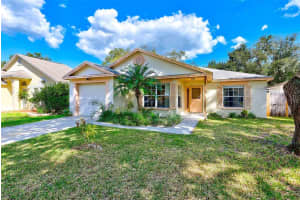 317 BENSON STREET, VALRICO, FL 33594 Sold 05/07/24