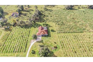331 LEWIS ROAD, LITHIA, FL 33547 - MLS#MFRT3483077