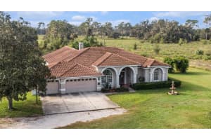 331 LEWIS ROAD, LITHIA, FL 33547 - MLS#MFRT3483077