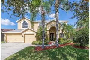 12913 CASTLEMAINE DRIVE, TAMPA, FL 33626 Sold 02/29/24